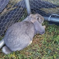 20170915_152134.jpg