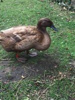 IMG_1402.JPG