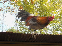 DSCN7072.JPG