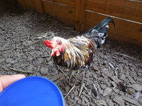 DSCN7082.JPG