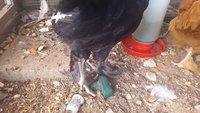 20170922_183710.jpg