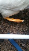 20170923_183759.jpg
