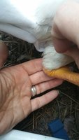 20170923_183755.jpg