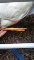 20170923_183738.jpg