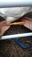 20170923_183734.jpg