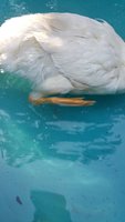 20170922_090218.jpg