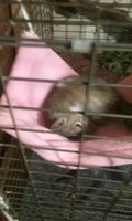 20170914_163118.jpg