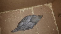 20170924_081255.jpg