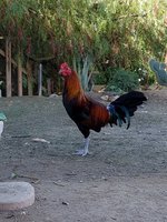 20170924_091852.jpg