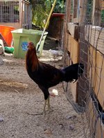 20170923_144904.jpg