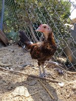 20170923_144847.jpg