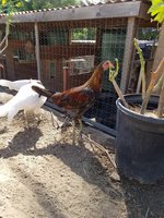 20170923_144720.jpg