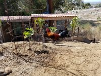 20170923_144537.jpg