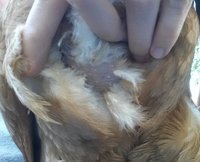 20170924_171602-1.jpg