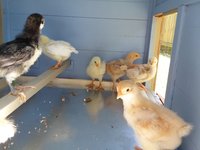 20170509_145645.jpg