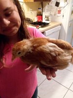 20170523_203943.jpg