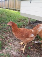 20170711_103130.jpg