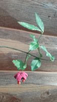 20170925_173344.jpg