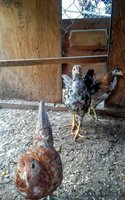20170925_171949.jpg