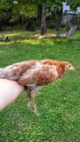 20170925_171119.jpg