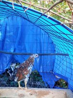 20170925_171849.jpg