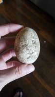 20170910_173024.jpg