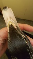 20170927_021029.jpg
