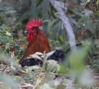 IMG_0047.JPG