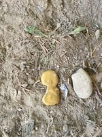 IMG_1165.JPG