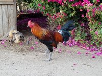 20170928_174447.jpg