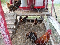 20170919_161342.jpg
