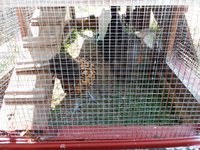 20170910_124936.jpg