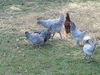 20170929_121410.jpg