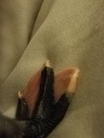 20170929_193657.jpg