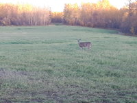 20170929_184625.jpg