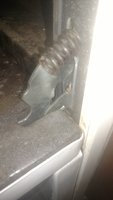 IMG_20170929_200100351.jpg