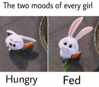 aADPOMZ_700b.jpg