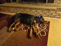 20160311_215825.jpg