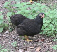 2013_06_28_0287.JPG 2013_06_28_0287.JPG