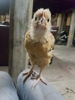 20170911_181719.jpg