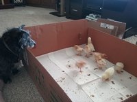 20170304_124354.jpg