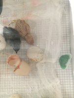 IMG_8763.JPG