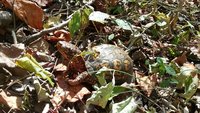 20170930_130859.jpg