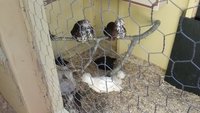 20170930_151309.jpg