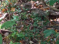 WP_20171001_11_46_24_Pro_LI.jpg