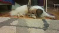20170909_102928.jpg