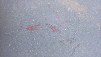WP_20171001_08_55_41_Pro.jpg