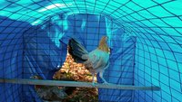 20171001_134343.jpg