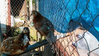 20171001_135240.jpg