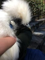 IMG_0281.JPG IMG_0281.JPG